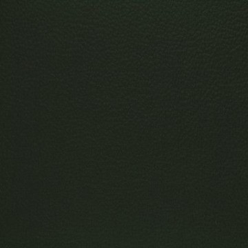 1 leer ohmann collection 1012 7876