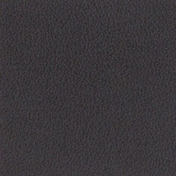 12 leer ohmann misto 2099